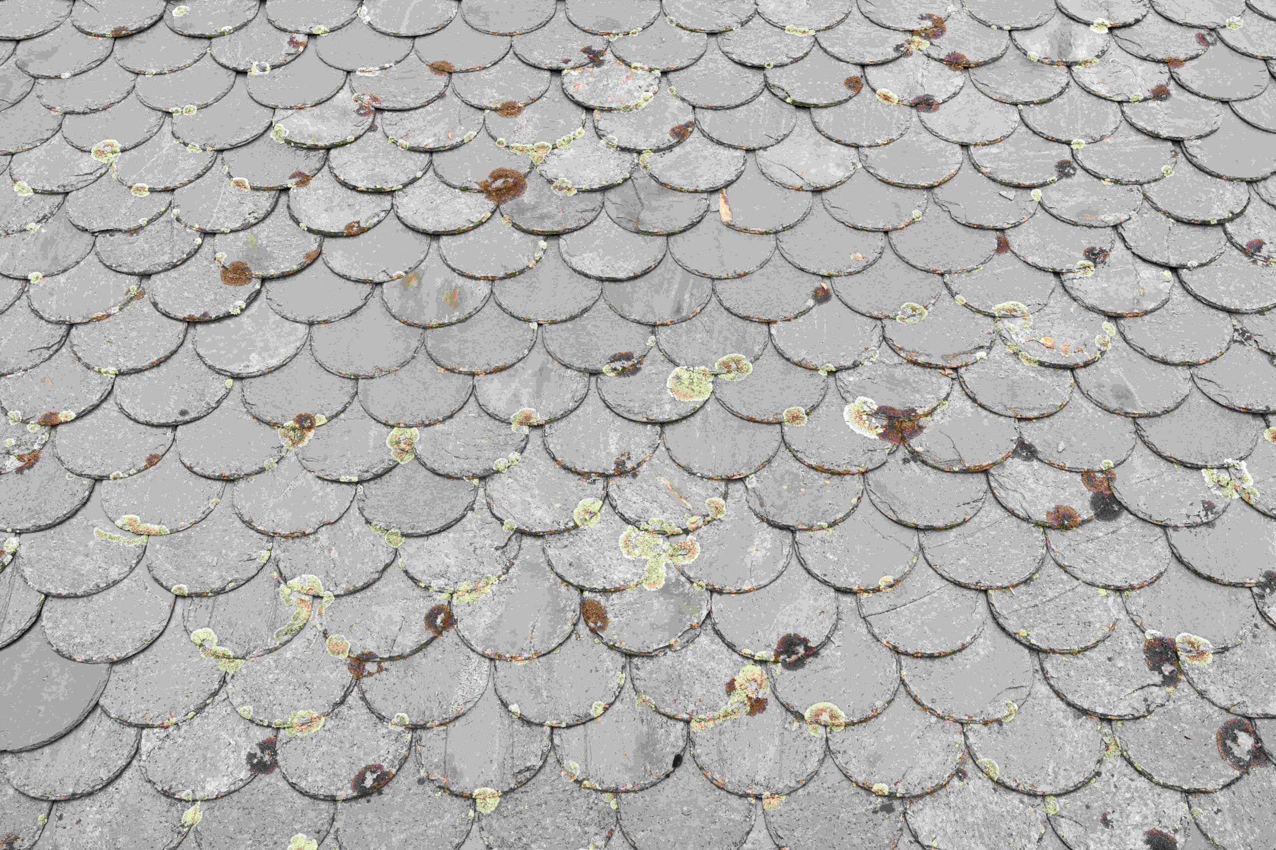 background-of-a-rusty-and-dirty-iron-texture-2023-11-27-05-27-57-utc (1)