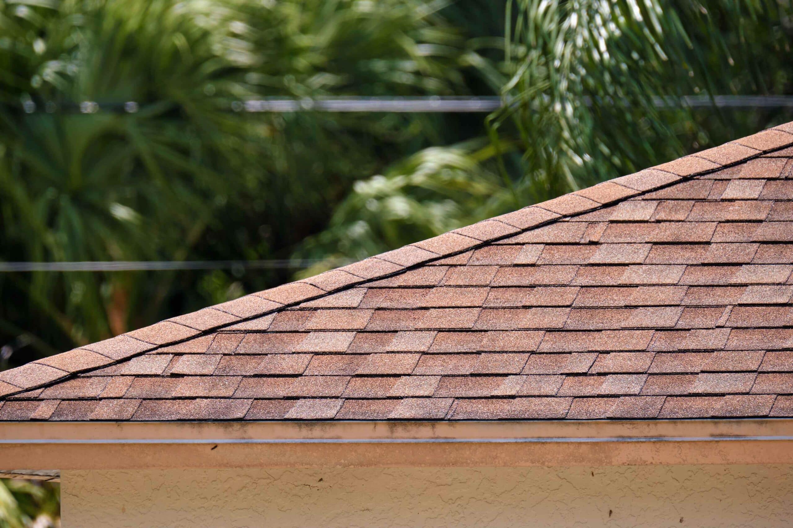 Shingle Roofs